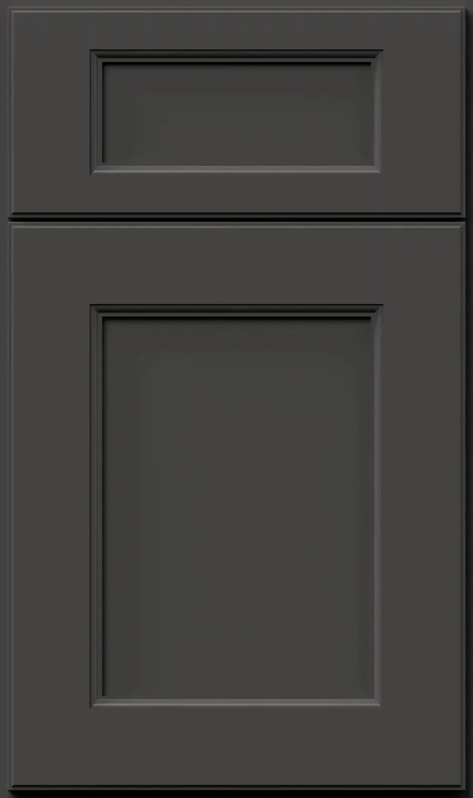 Fusion® Graphite Black Sample Door