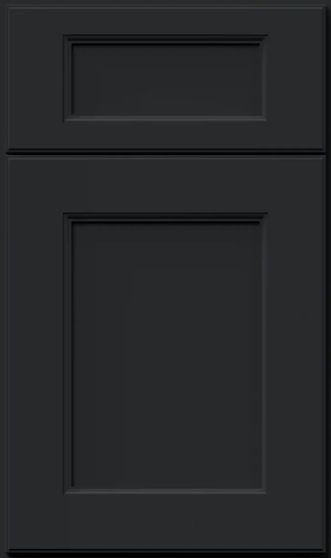 Fusion® Pitch Black Sample Door