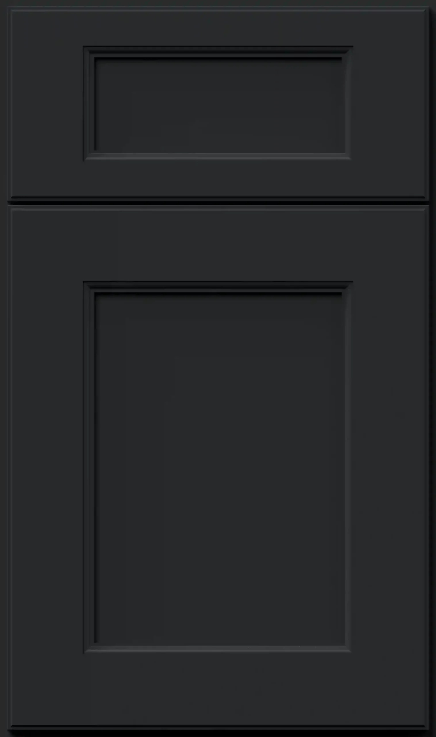 Fusion® Pitch Black Sample Door