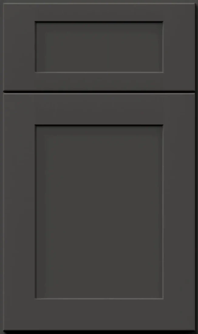 Galaxy® Graphite Black Sample Door